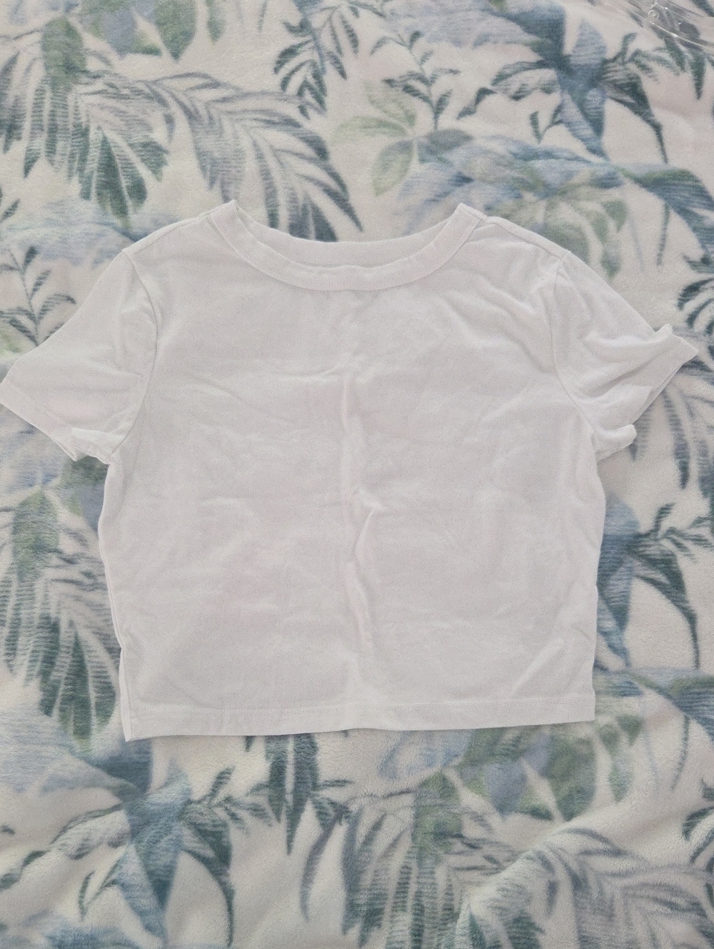 Wild Fable Cropped Short-Sleeve Tee